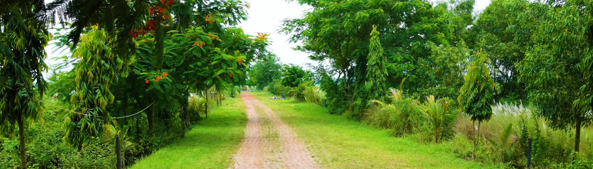 Purbachal Probashi Palli