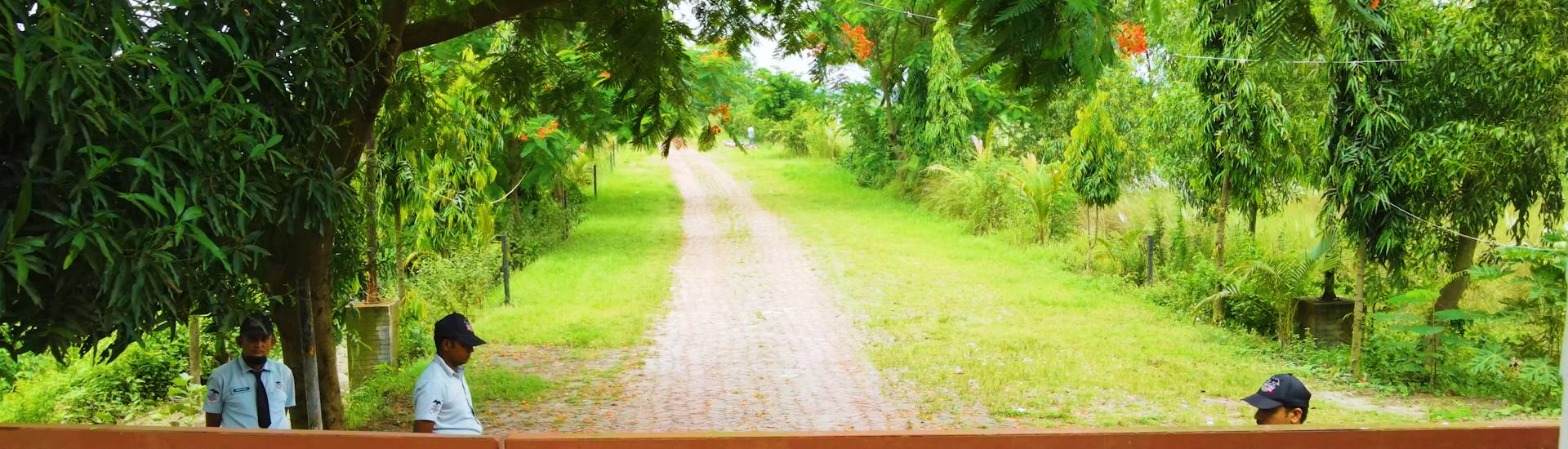 Road of Purbachal Probashi Palli