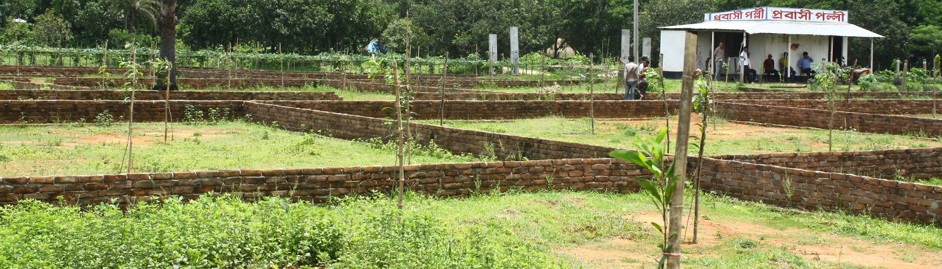 Probashi Palli Abason