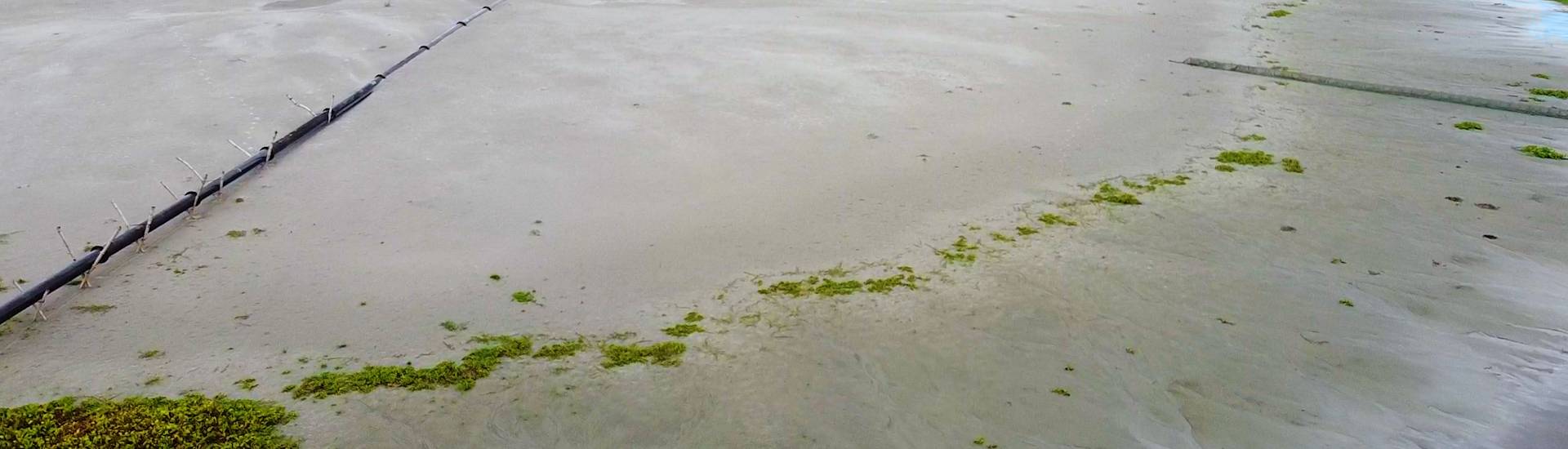 Purbachal Probashi Palli