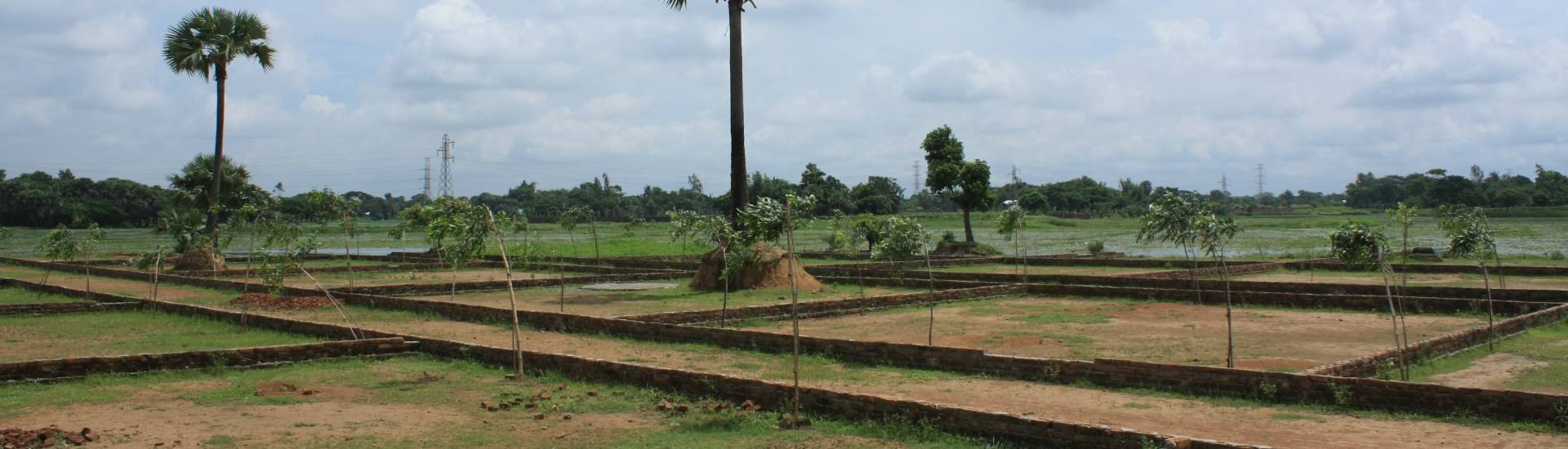 Probashi Palli Abason