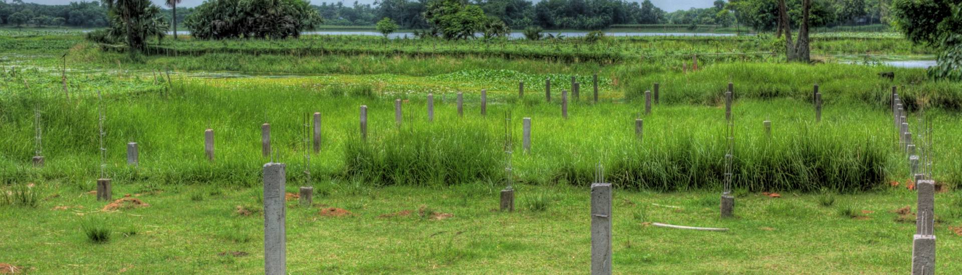 Probashi Palli Abason