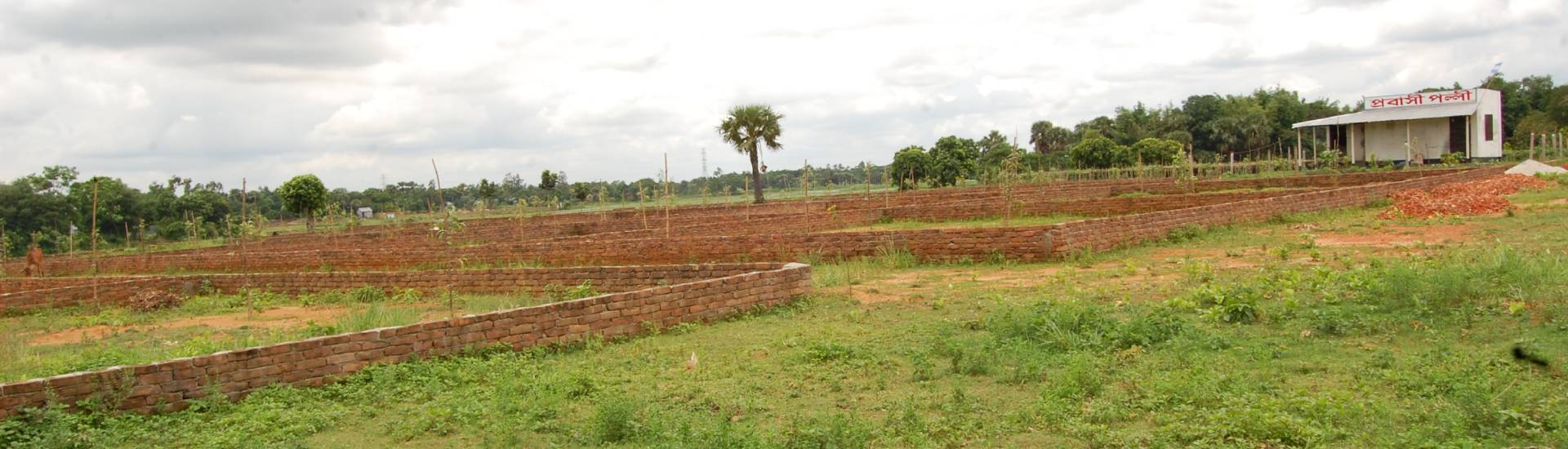 Probashi Palli Abason