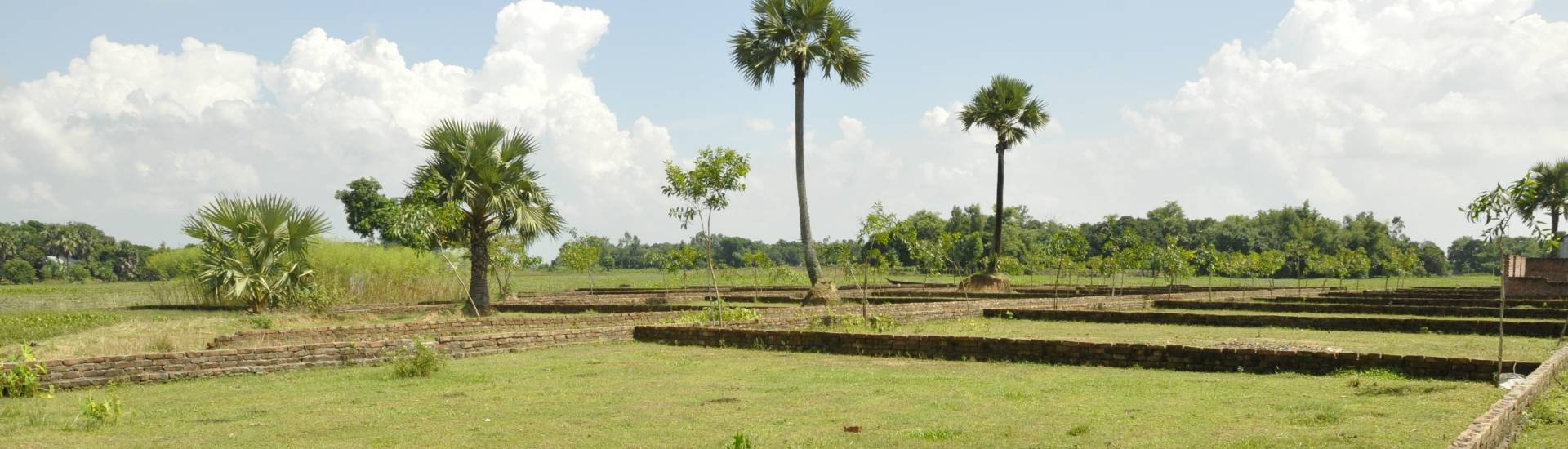 Probashi Palli Abason